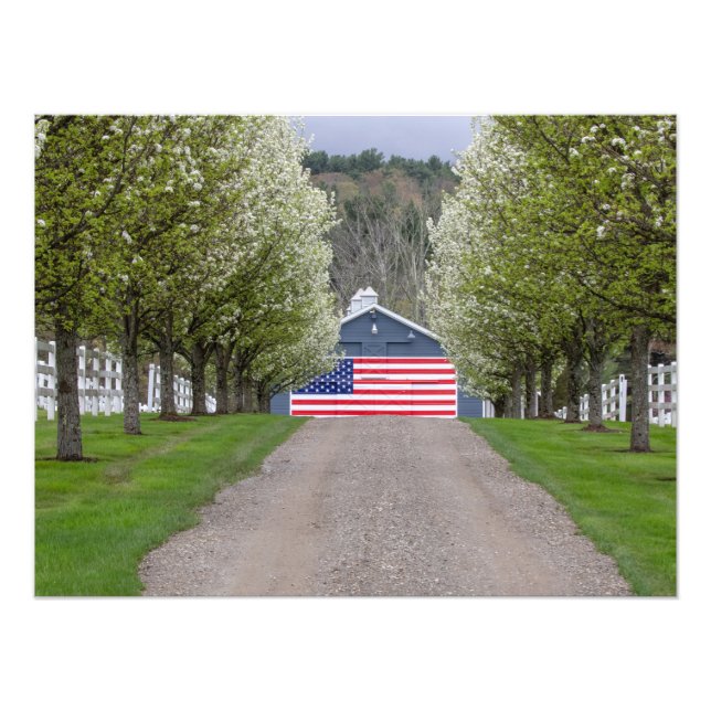 An American Farm Fototryck (Framsidan)