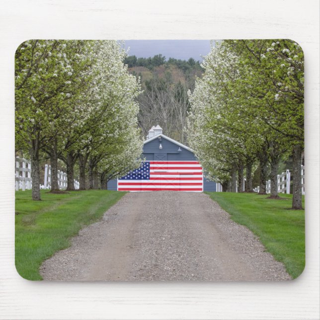 An American Farm Musmatta (Framsidan)