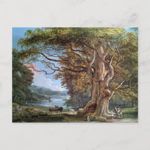 An Ancient Beech Träd, 1794 (olja på canvas) Vykort