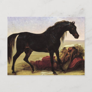 An Arabian Horse Vykort