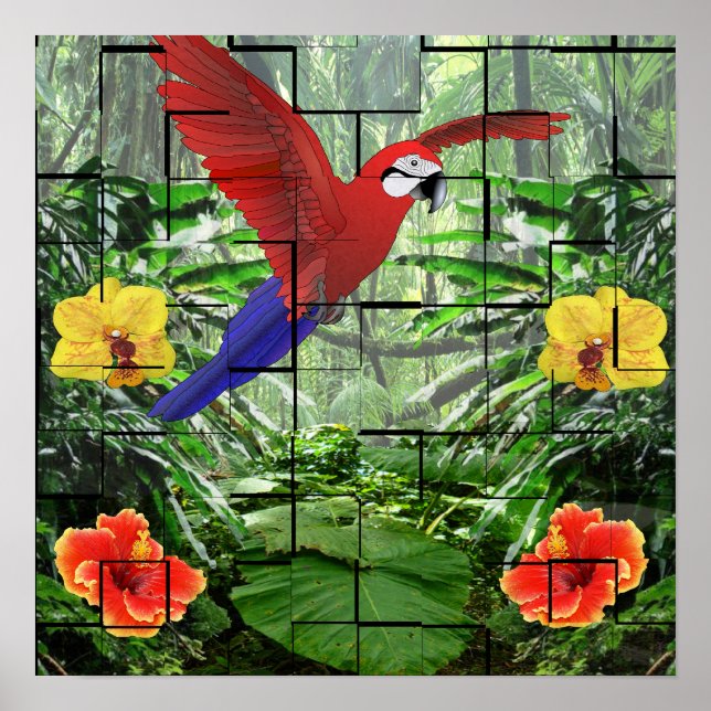 An Artsy Tropical Rainforest Scene Poster (Framsidan)