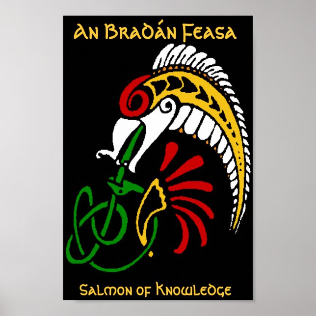 An BradAín Feasa - Kunskapens lax Poster (Framsidan)