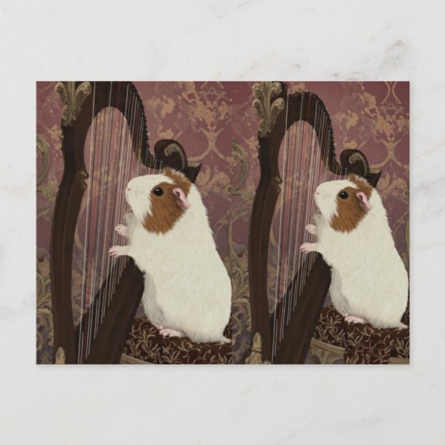 An Evening Recital – Artistic Guinea Pig Postcard Vykort (Framsida)