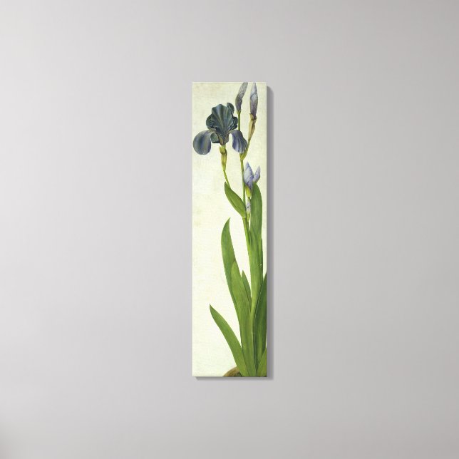 An Iris Canvastryck (Framsida)