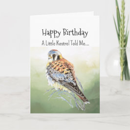 An Kestrel Personality Birthday Roligt Bird Kort