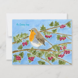 An Spideog beag postcard Vykort