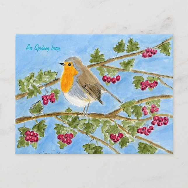 An Spideog beag postcard Vykort (Framsida)