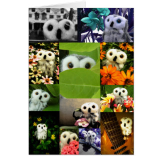 An Uggla Named Ophelia Hälsningskort