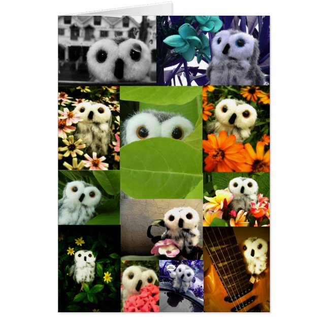 An Uggla Named Ophelia Hälsningskort (Framsidan)