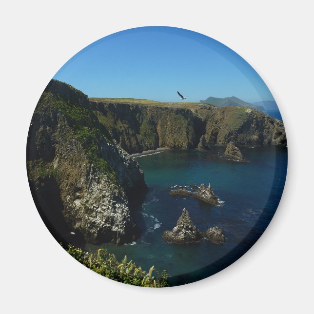 Anacapa Island Scenic View vid Channel Islands Magnet (Framsidan)