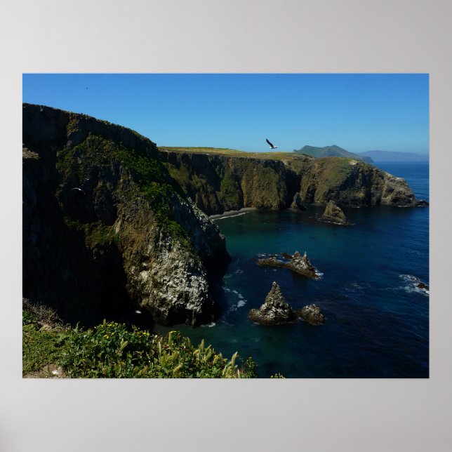Anacapa Island Scenic View vid Channel Islands Poster (Framsidan)