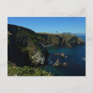 Anacapa Island Scenic View vid Channel Islands Vykort