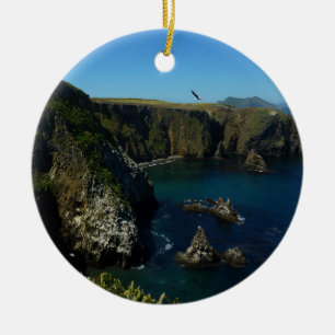 Anacapa Island Scenic vy från Channel Islands Julgransprydnad Keramik