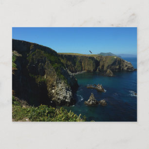 Anacapa Island Scenic vy från Channel Islands Vykort
