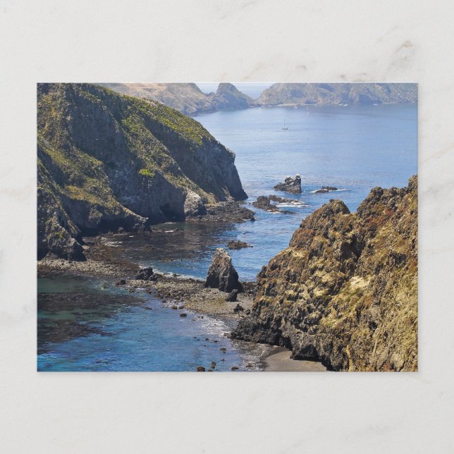 Anacapa-ön Vykort (Framsida)