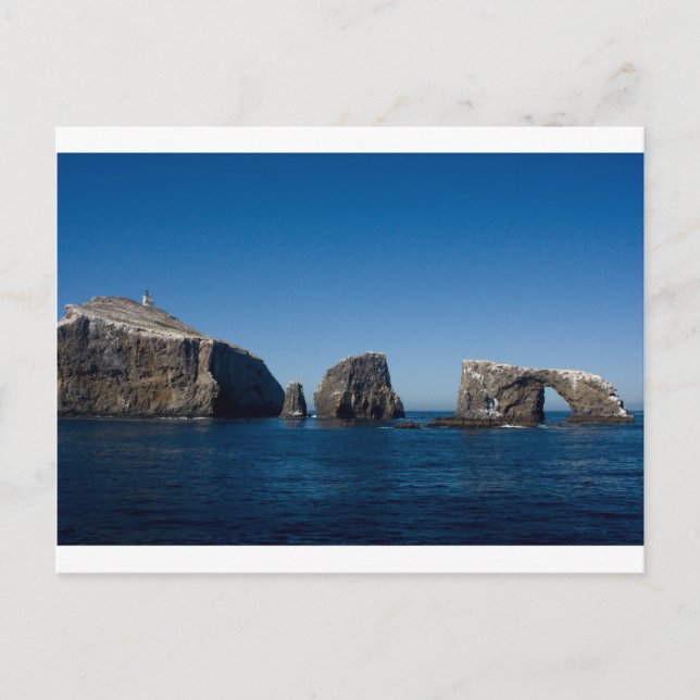 Anacapa-ön Vykort (Framsida)