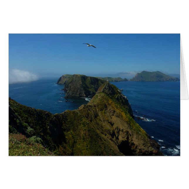Anacapas Inspiration Point I i Channel Islands Hälsningskort (Framsidan Horizontal)