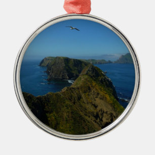 Anacapas Inspiration Point I i Channel Islands Julgransprydnad Metall