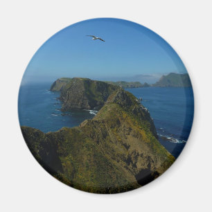 Anacapas Inspiration Point I i Channel Islands Magnet