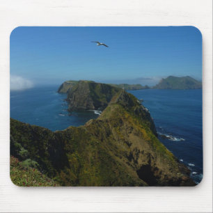 Anacapas Inspiration Point I i Channel Islands Musmatta