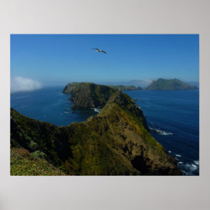 Anacapas Inspiration Point I i Channel Islands Poster