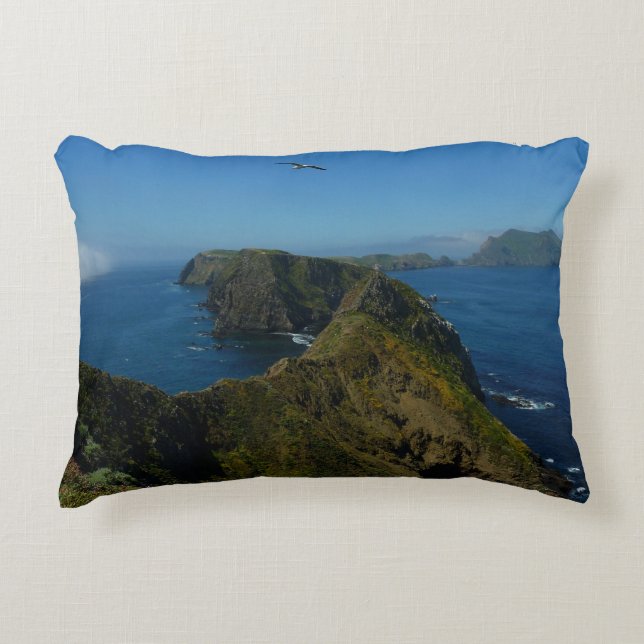 Anacapa's Inspiration Point I i Channel Islands Prydnadskudde (Framsidan)