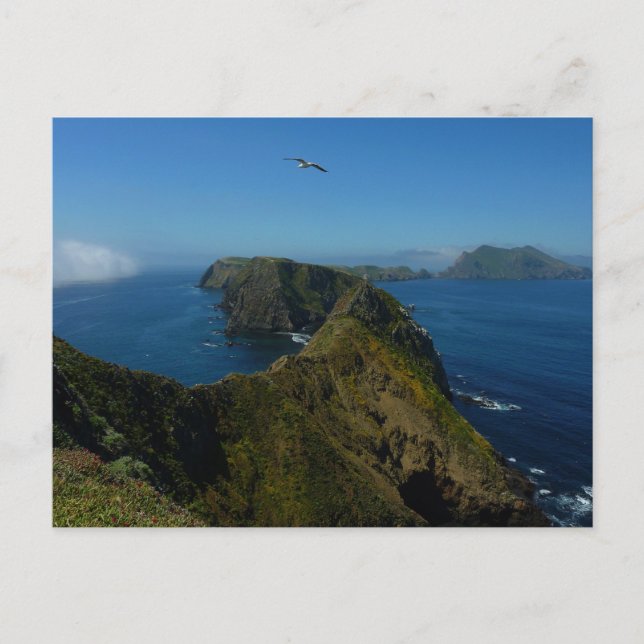 Anacapas Inspiration Point I i Channel Islands Vykort (Framsida)