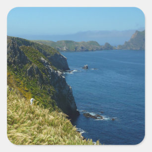 Anacapa's Inspiration Point II vid Channel Islands Fyrkantigt Klistermärke