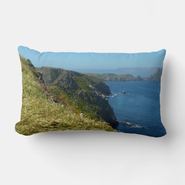 Anacapa's Inspiration Point II vid Channel Islands Lumbarkudde (Framsida)