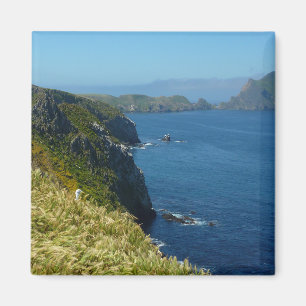 Anacapa's Inspiration Point II vid Channel Islands Magnet