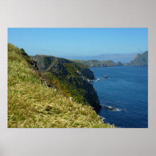Anacapa's Inspiration Point II vid Channel Islands Poster