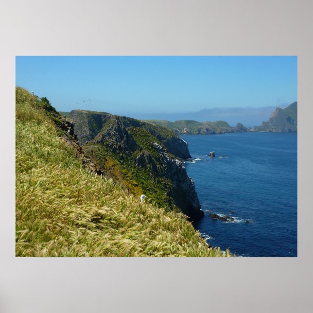 Anacapa's Inspiration Point II vid Channel Islands Poster (Framsidan)