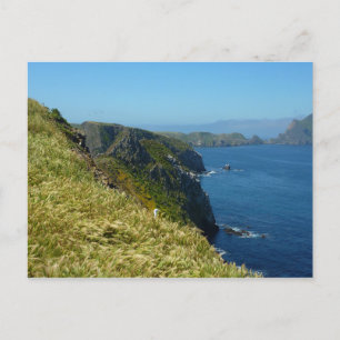 Anacapa's Inspiration Point II vid Channel Islands Vykort