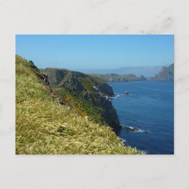 Anacapa's Inspiration Point II vid Channel Islands Vykort (Framsida)
