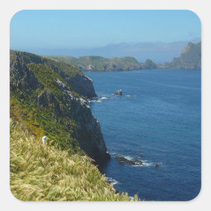 Anacapas inspirationspunkt II på Kanalöarna Fyrkantigt Klistermärke