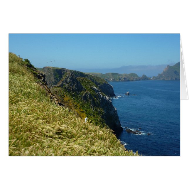 Anacapas inspirationspunkt II på Kanalöarna OBS Kort (Framsidan Horizontal)