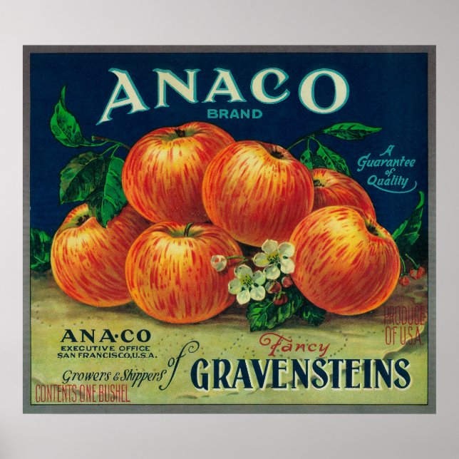 Anaco Apple Låda-etikett Poster (Framsidan)