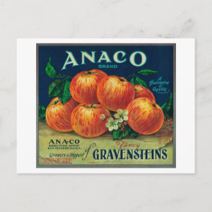 Anaco Apple Låda-etikett Vykort