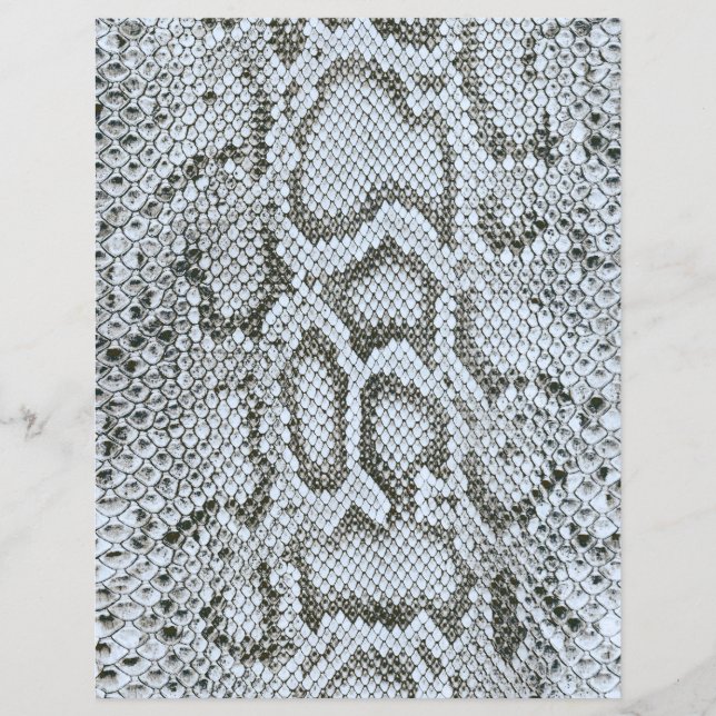 Anaconda Ormskinn Struktur 2 Sidor Scrapbook Pappe (Framsida)