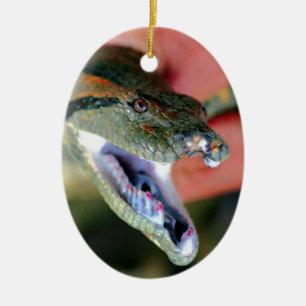 Anaconda snake jaws öppna som exponerar stora flin julgransprydnad keramik