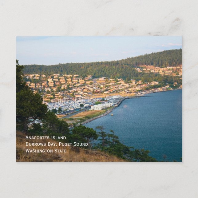 Anacortes Washington Postcard Vykort (Framsida)