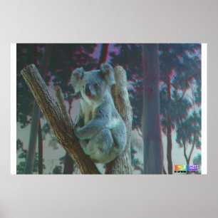 Anaglyph för Koala 3D Poster