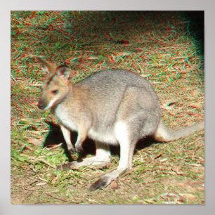 Anaglyphaffisch för känguru 3D Poster