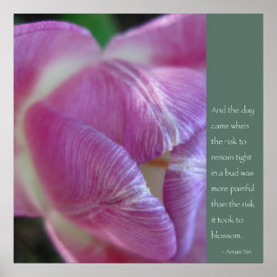 Anais Nin-citat Poster