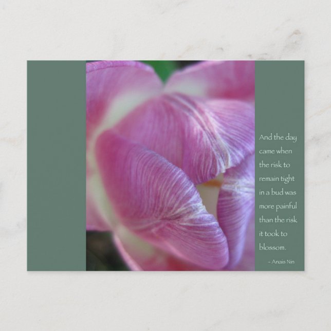 Anais Nin-citat Vykort (Framsida)