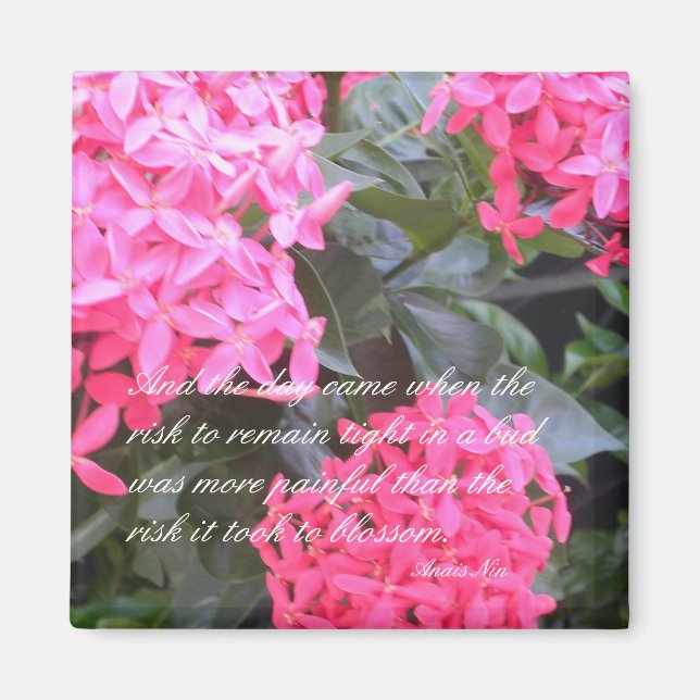 Anais Nin Motivational Quotation Magnet (Framsidan)