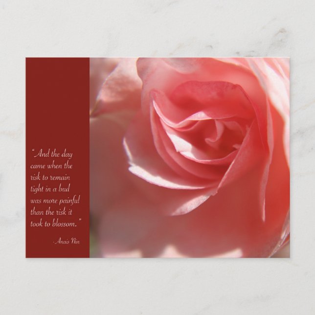 Anais Nin Quote Postcard i Rosa Vykort (Framsida)