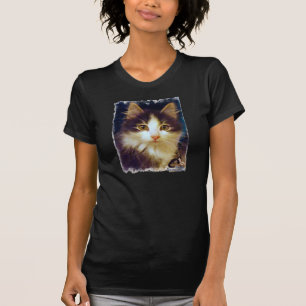 Anakin två lagd benen på ryggen katt, gullig tee shirt