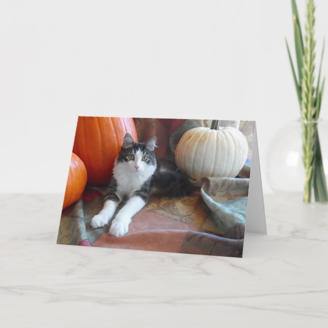 Anakin Tvåbenta Katt & Pumpa Höstkattkort Kort (Framsida)