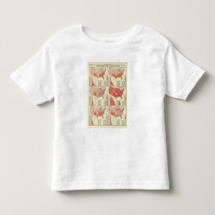 analfabetism för ovanför 10 gammala år tee shirt